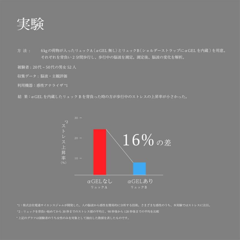 PORTER / PORTER SENSES 2WAY PACK ポーター センシズ 2ウェイパック