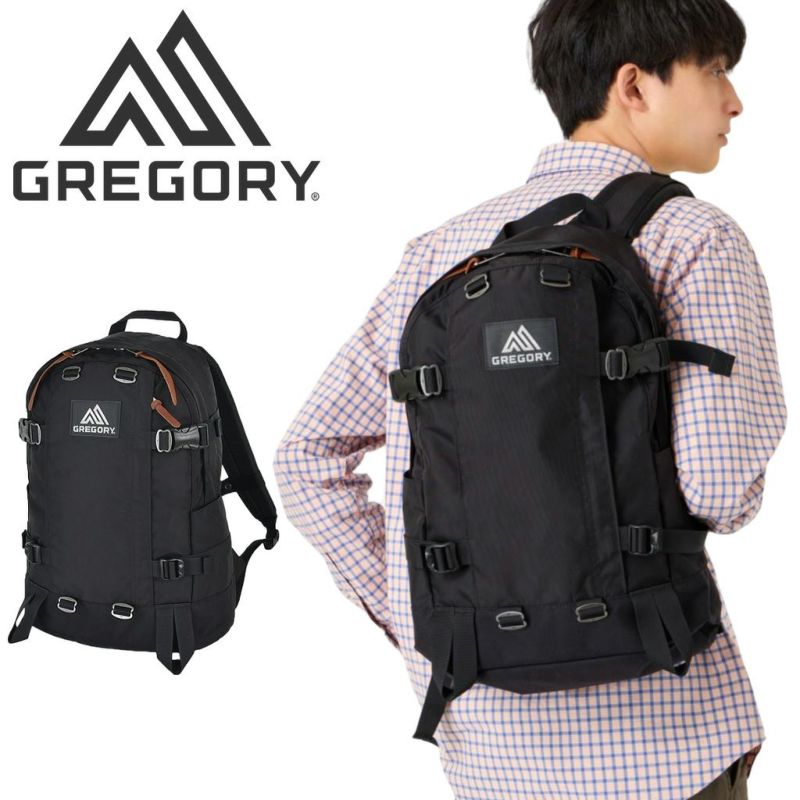 GREGORY グレゴリー リュック 26L デイパック リュックサック